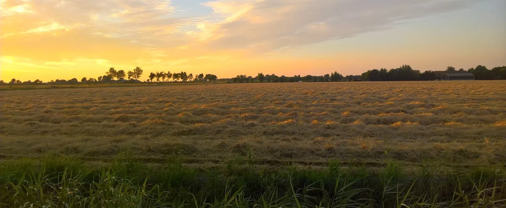 Minicamping De Welblok