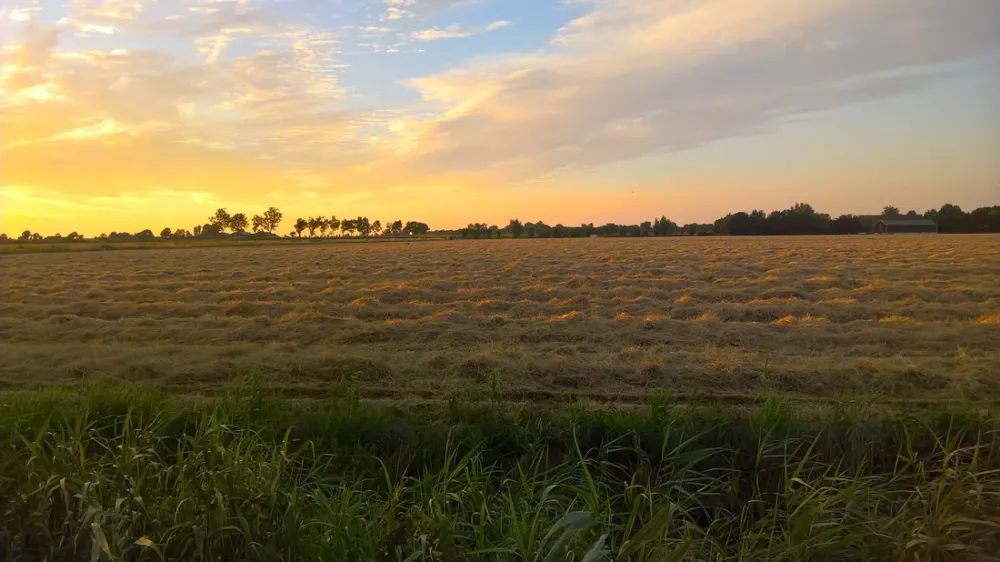 Minicamping De Welblok