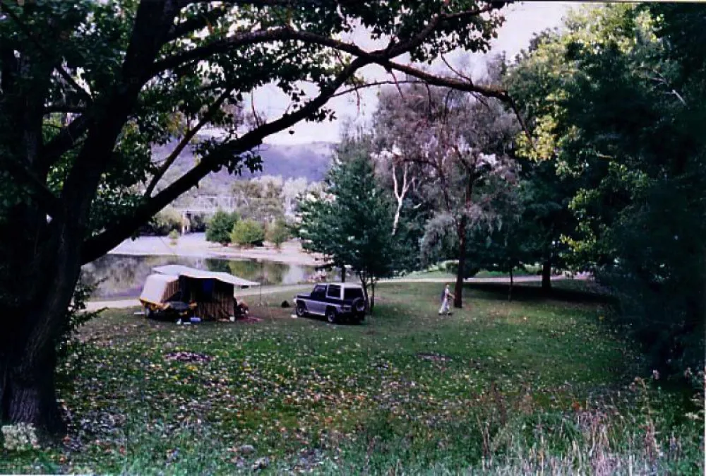 Jingellic Campground