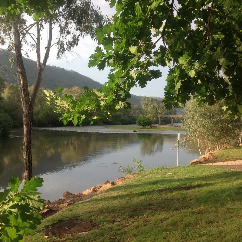 Jingellic Campground