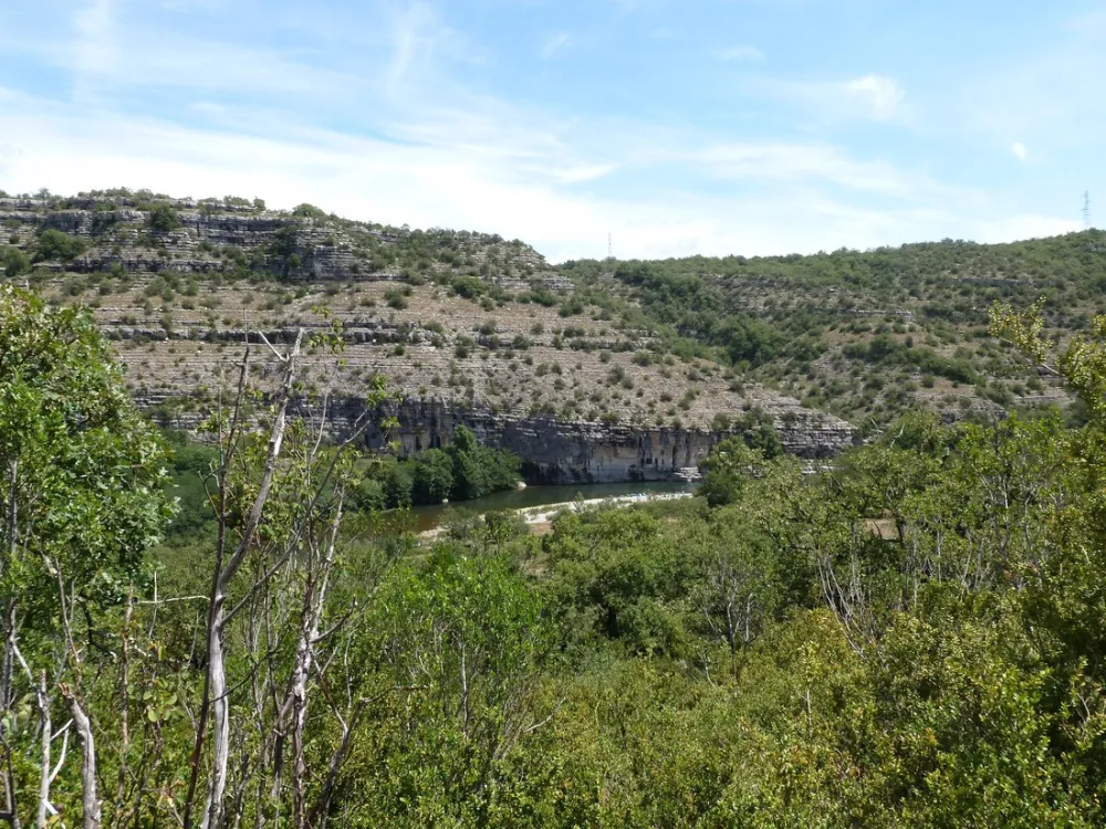 Lou Rouchetou (Chassagnes)