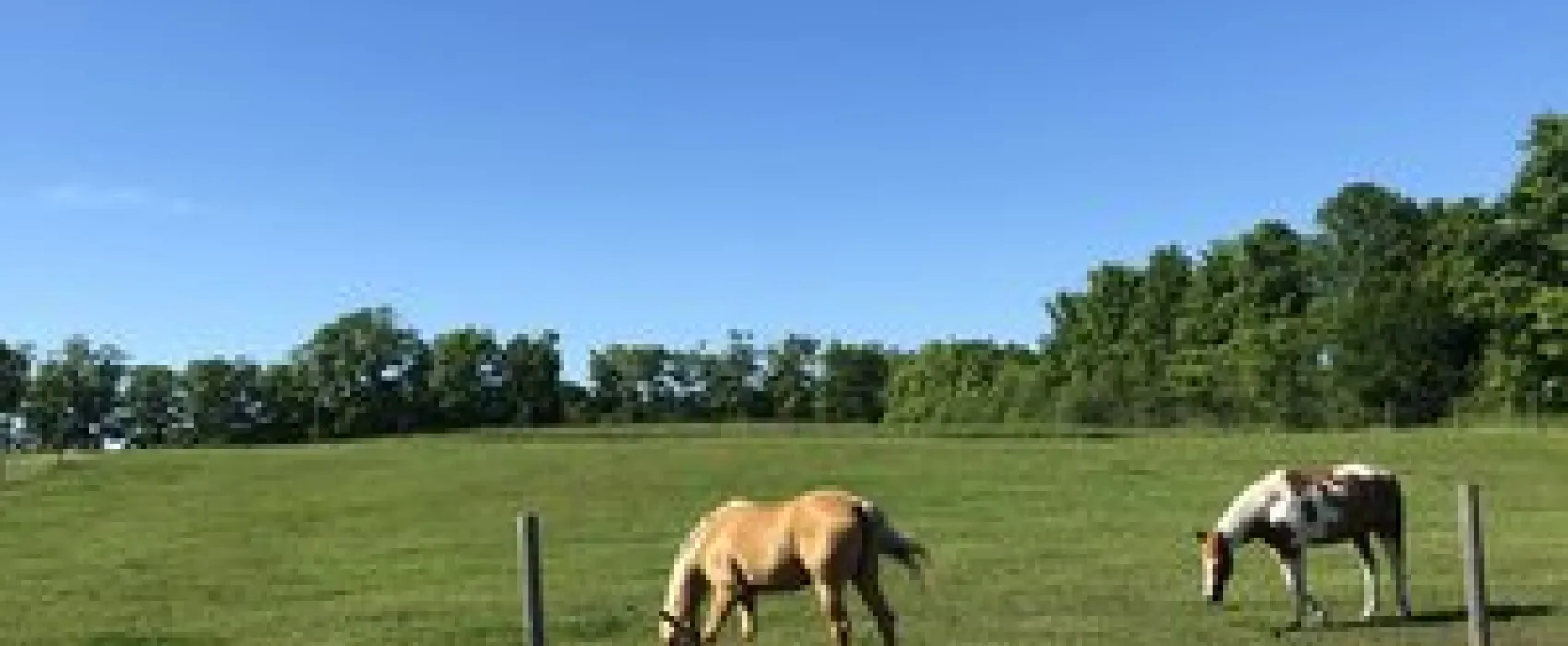 Washington Island Campground