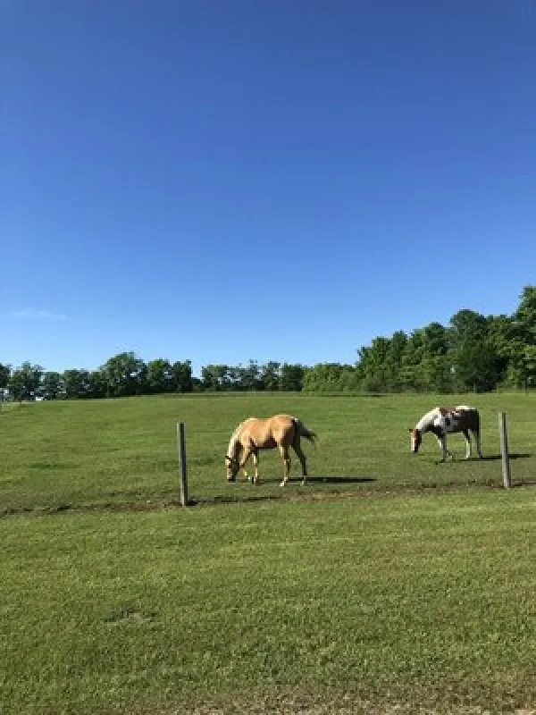 Washington Island Campground