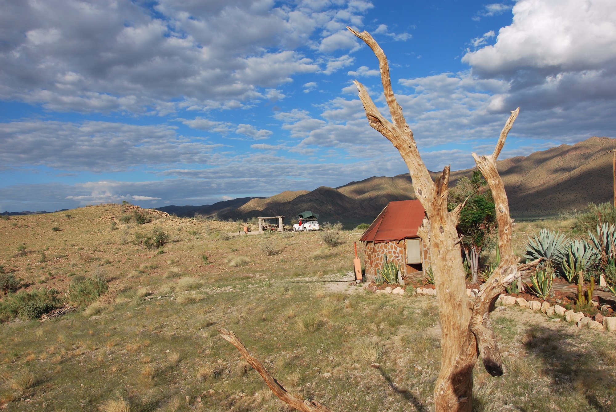 Camp Gecko - Eagle Camp photo 3
