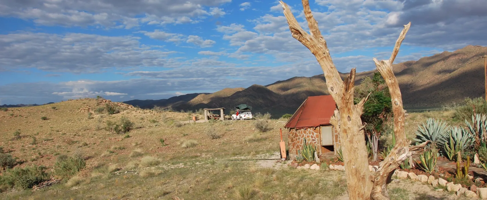 Camp Gecko - Eagle Camp