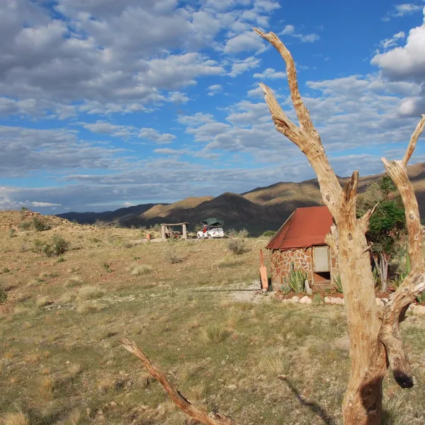 Camp Gecko - Eagle Camp