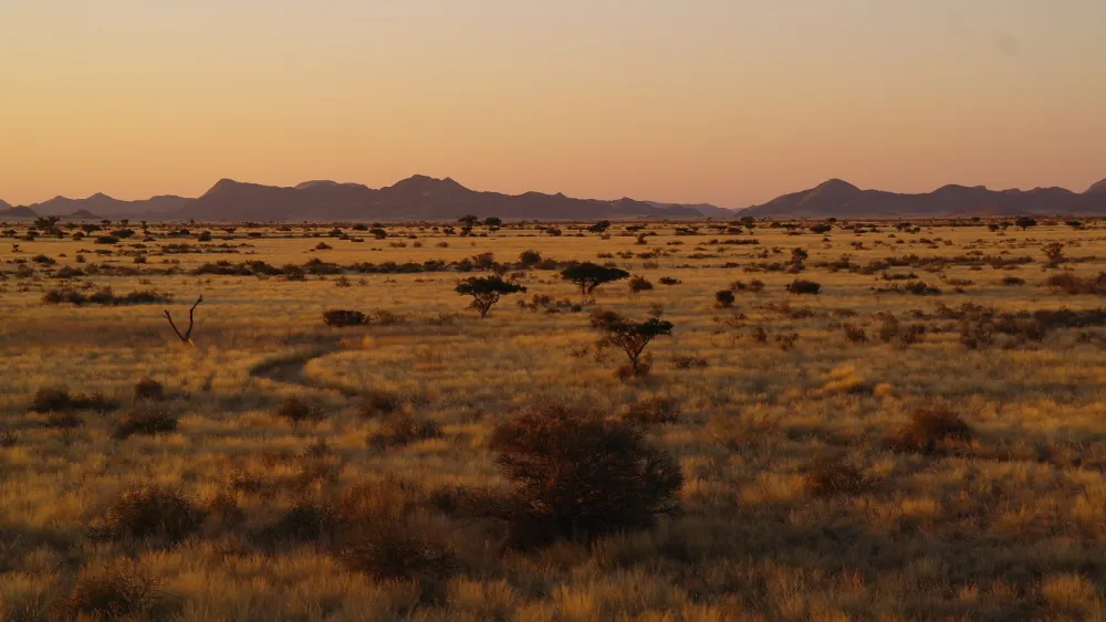 Camp Gecko - Eagle Camp