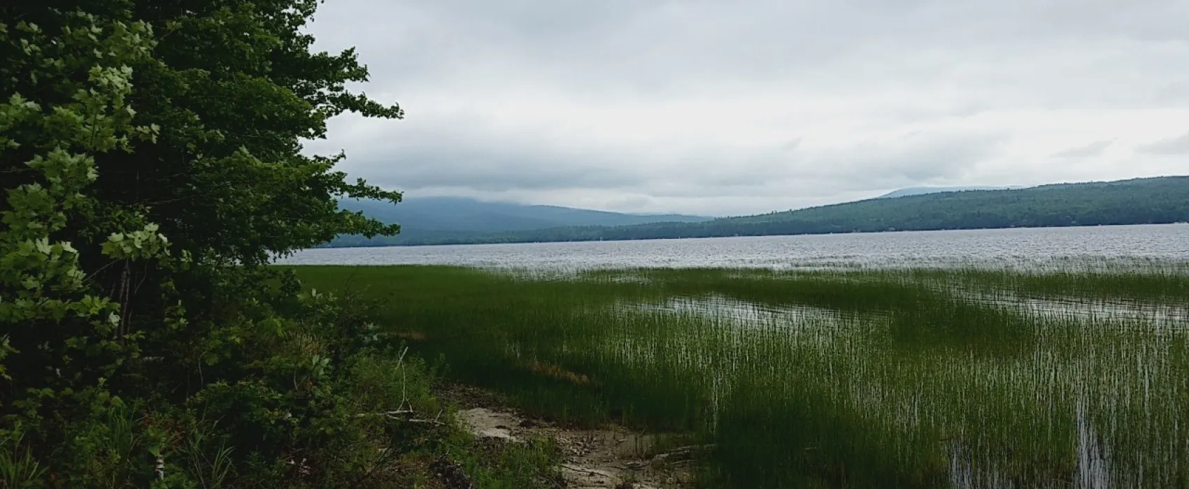 Mount Blue State Park