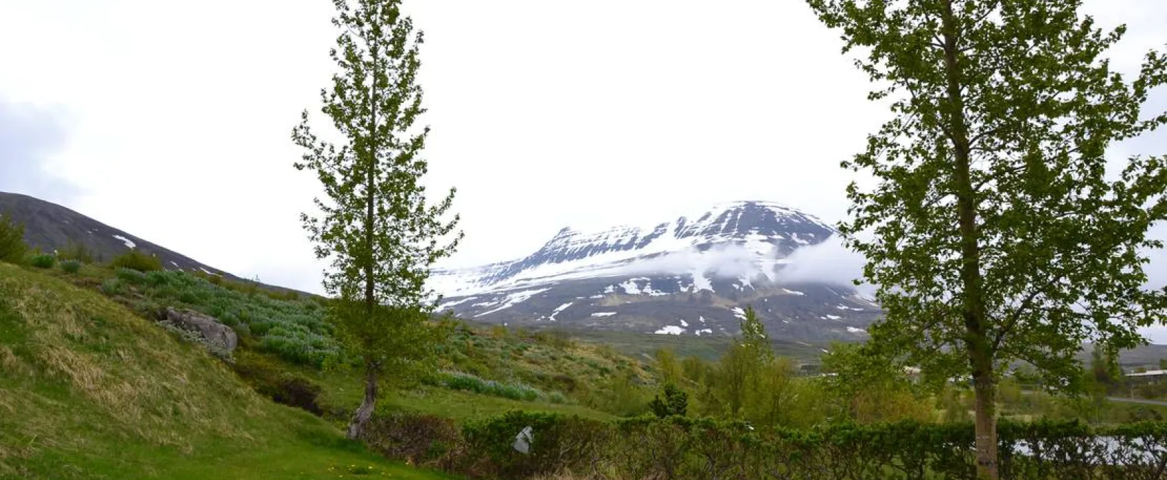 Camping Reydarfjördur
