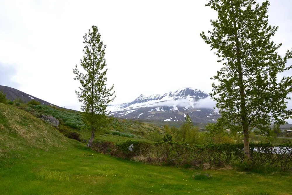 Camping Reydarfjördur