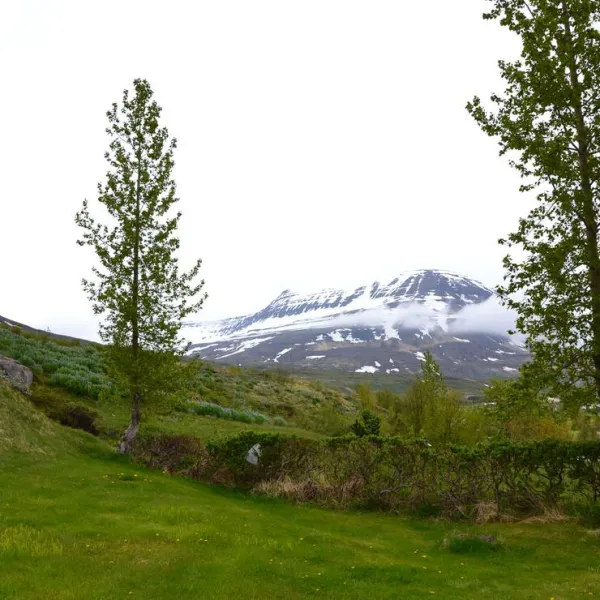 Camping Reydarfjördur