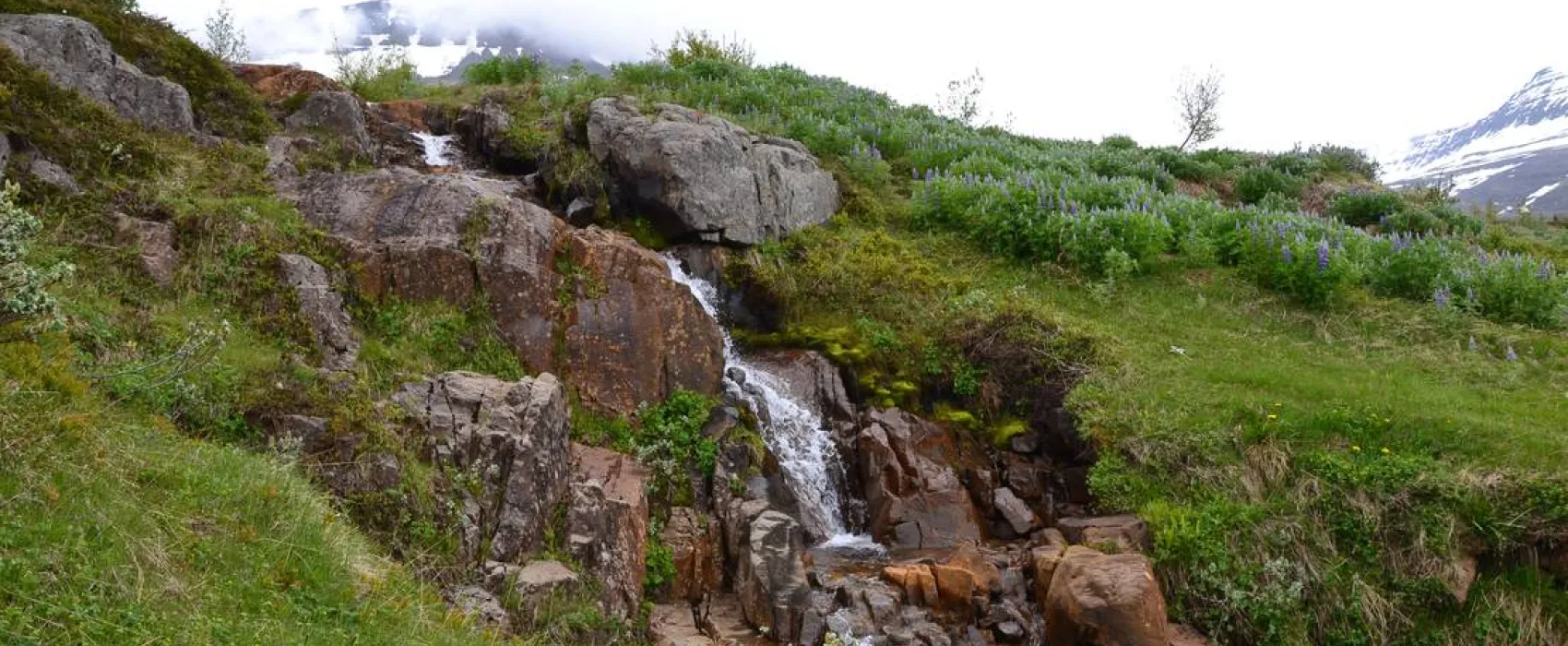 Camping Reydarfjördur