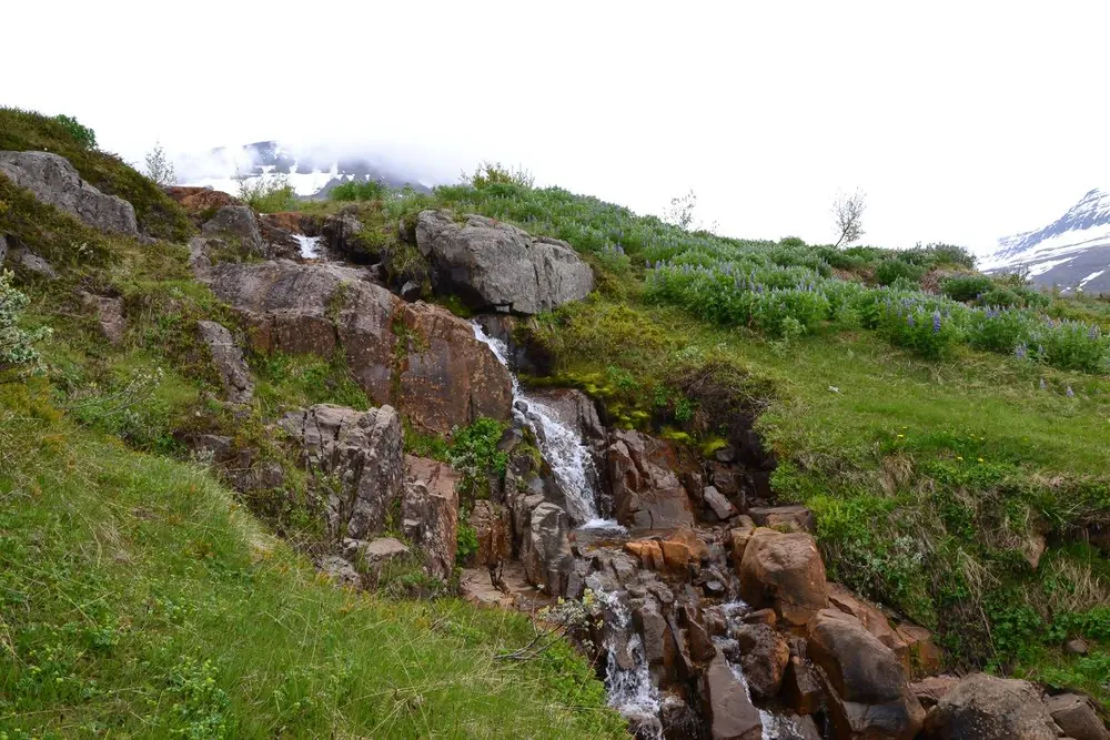 Camping Reydarfjördur