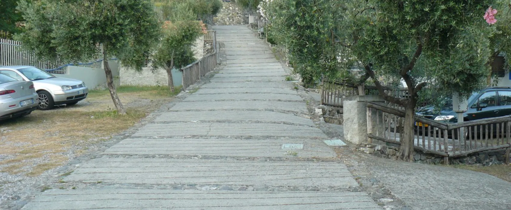 Campeggio degli Ulivi