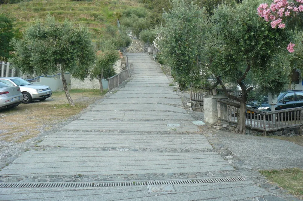 Campeggio degli Ulivi