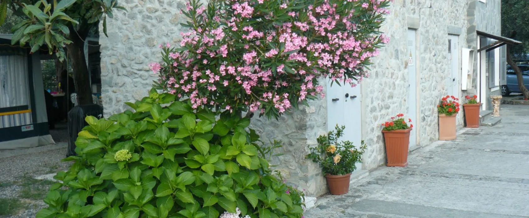 Campeggio degli Ulivi