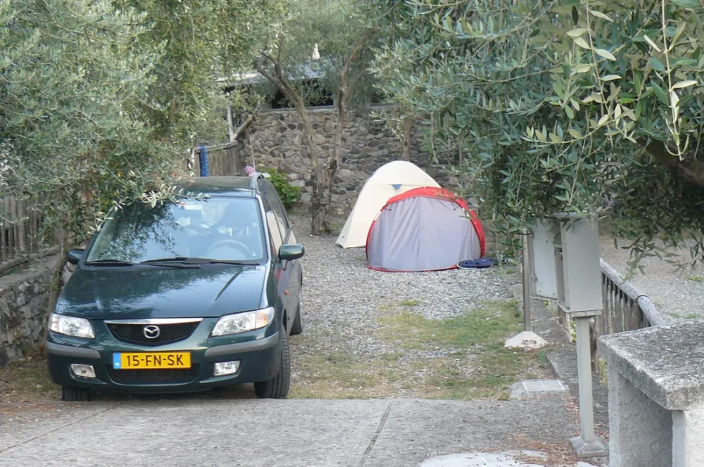 Campeggio degli Ulivi