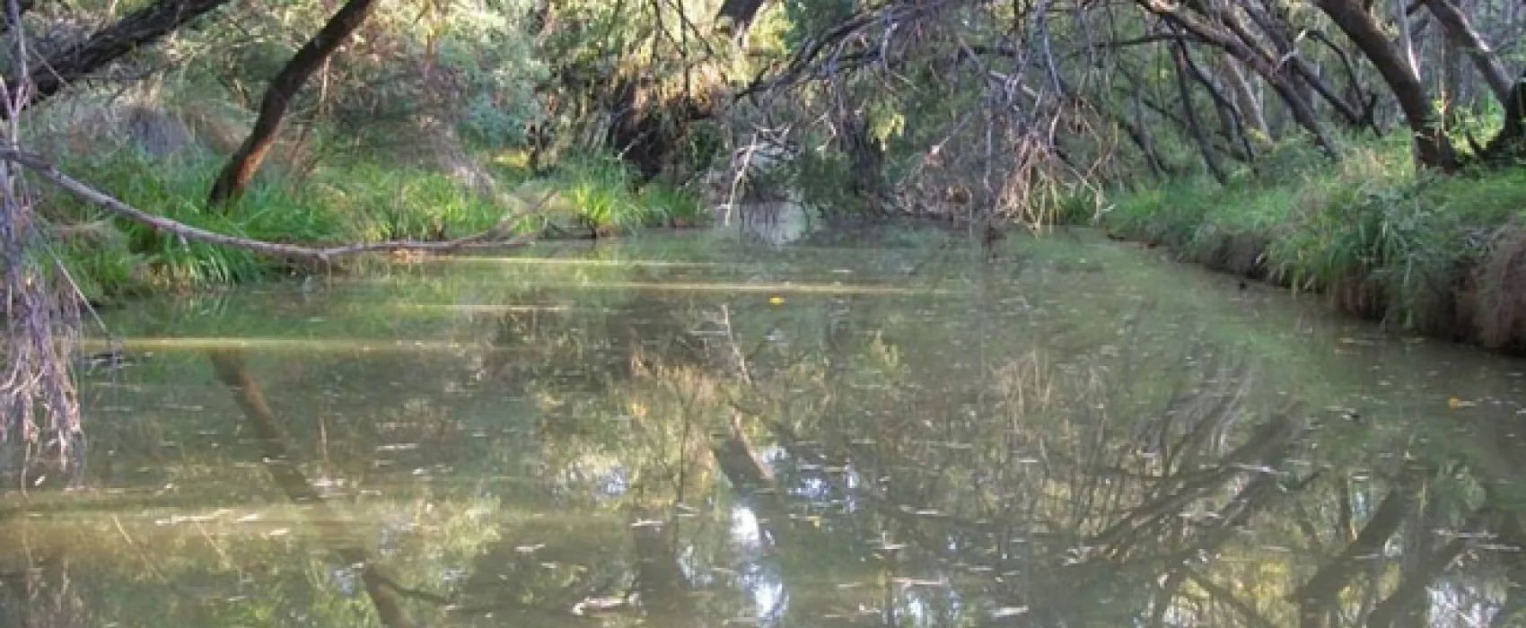 Karee Krans Nature Farm