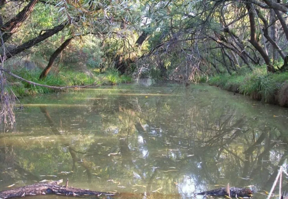 Karee Krans Nature Farm