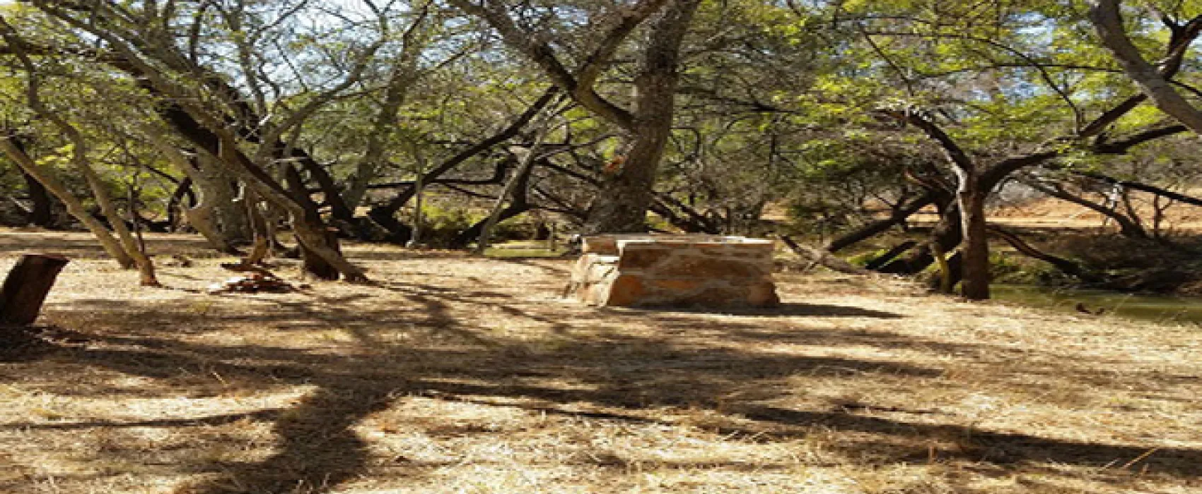 Karee Krans Nature Farm