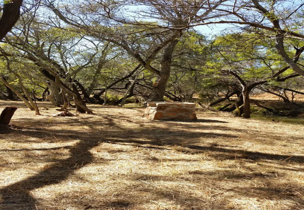 Karee Krans Nature Farm