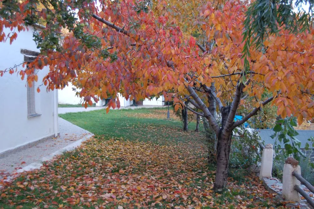 Camping Balcón De Pitres