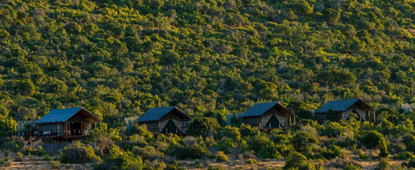 Kwandwe Galpin Tented Camp