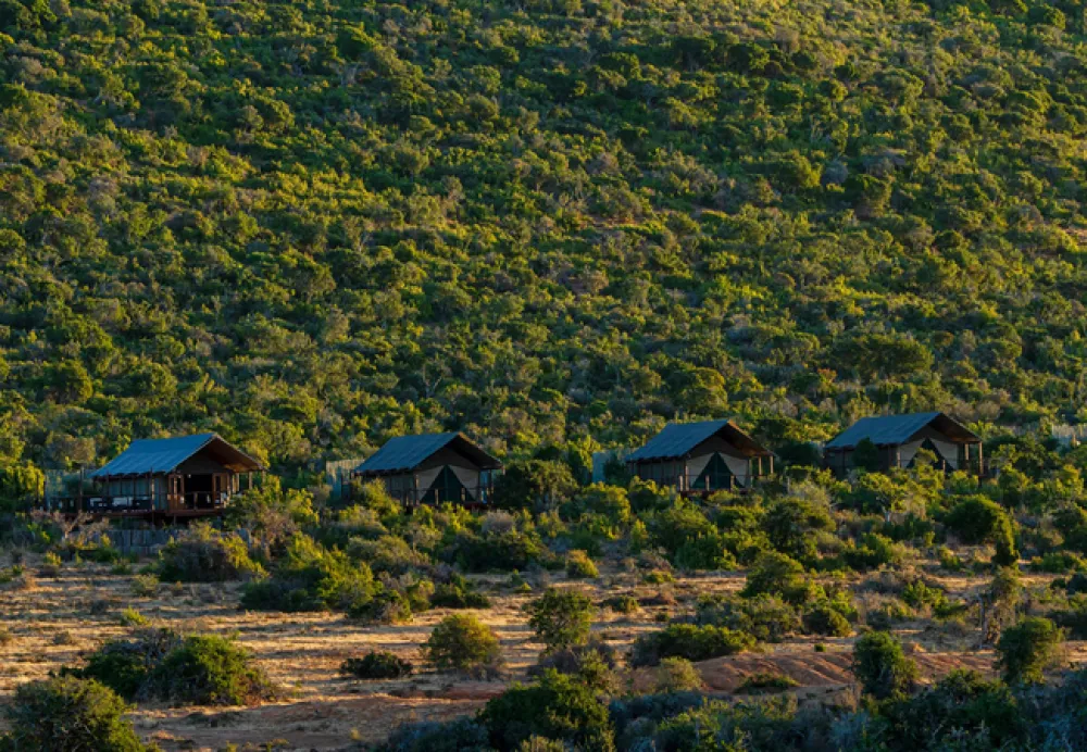 Kwandwe Galpin Tented Camp