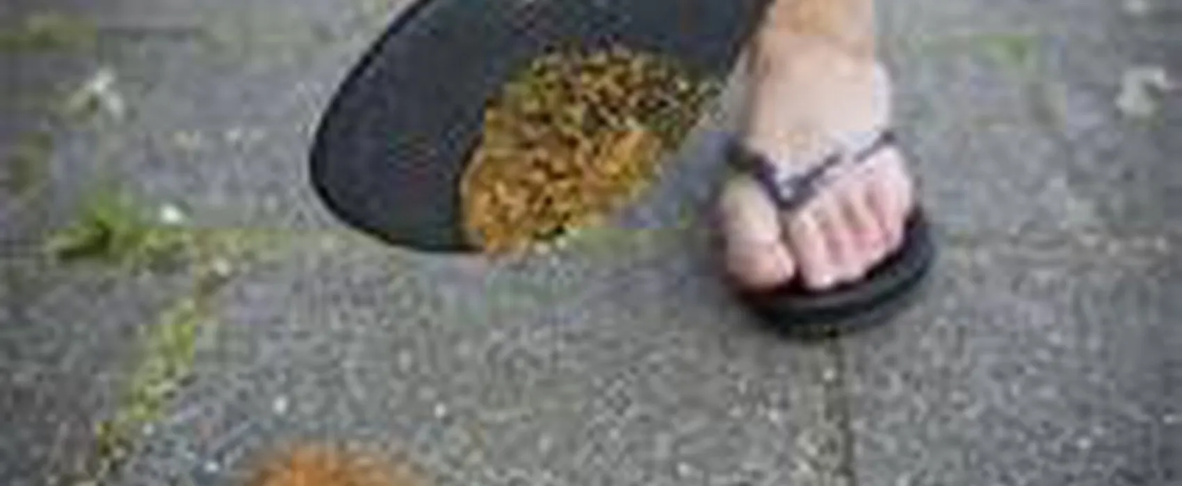 Domaine de la Sabliere