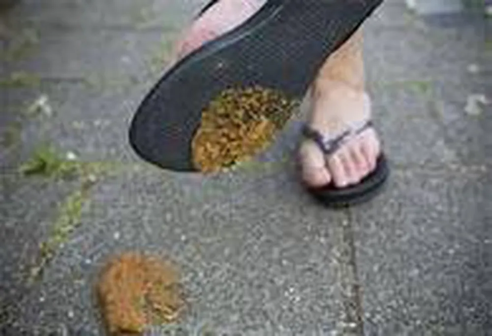 Domaine de la Sabliere