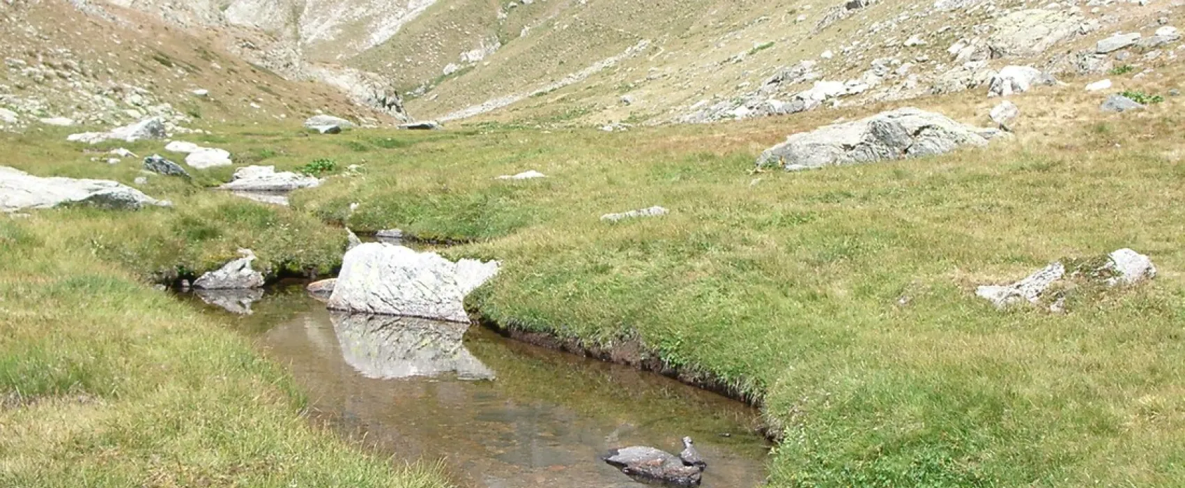 Domaine des Marmottes