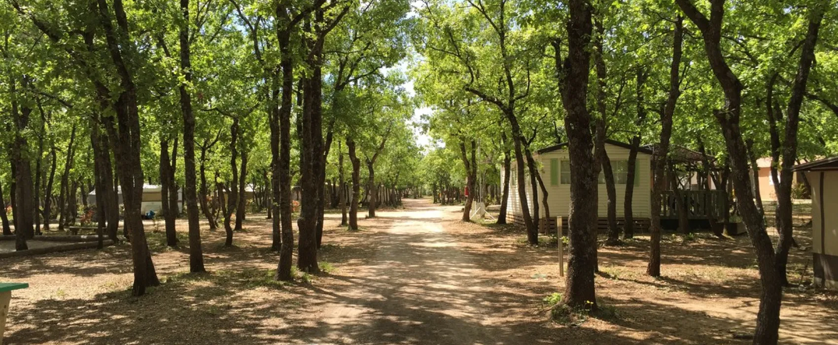 Domaine des Chênes Blancs
