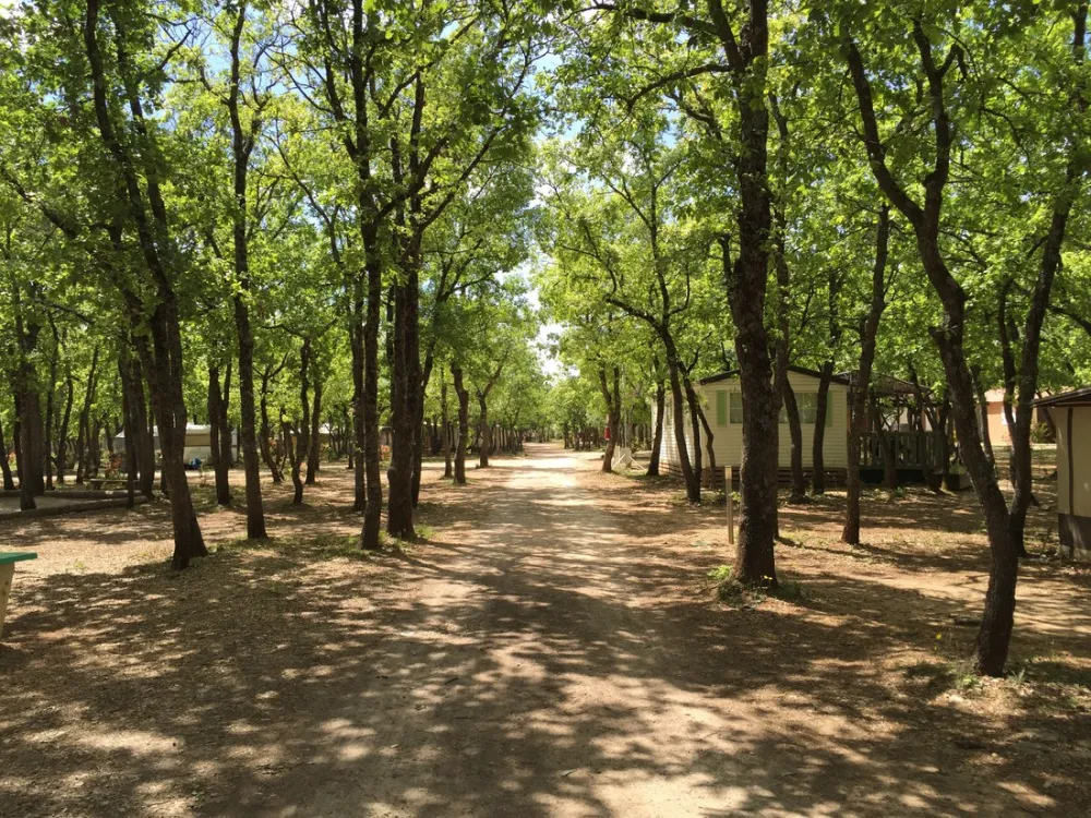 Domaine des Chênes Blancs