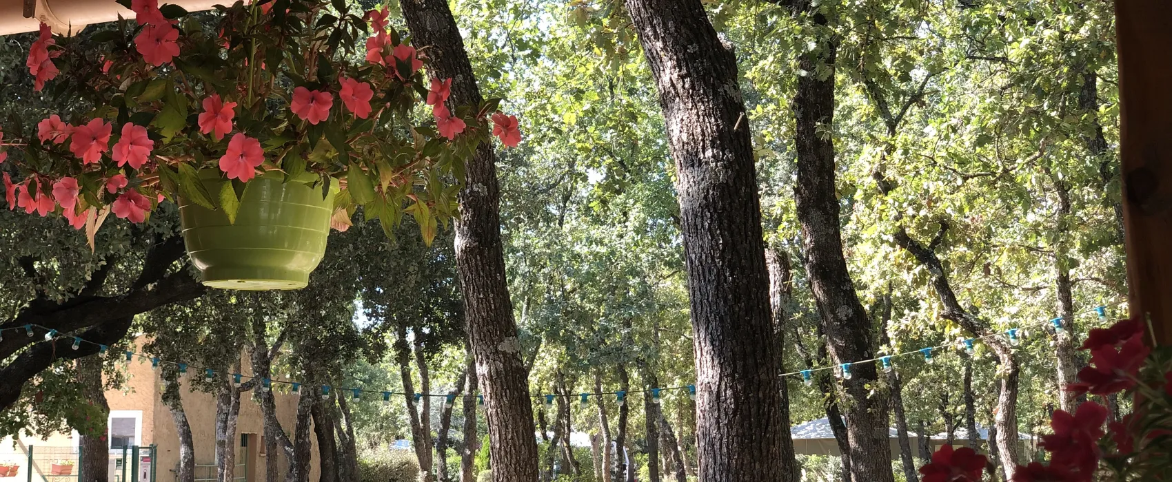 Domaine des Chênes Blancs