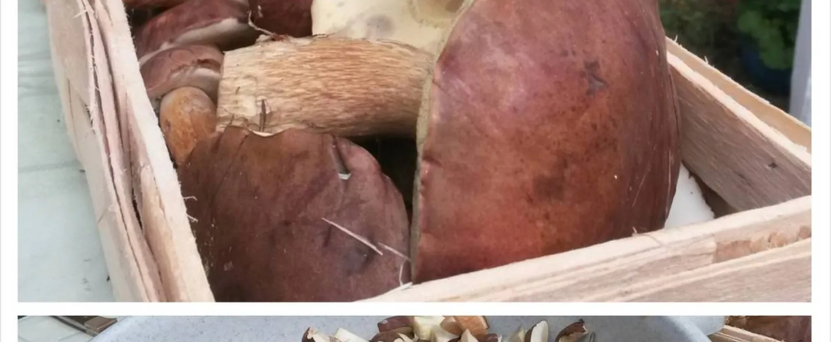 Campingplatz D66 - Am Schmöldesee bei Prieros