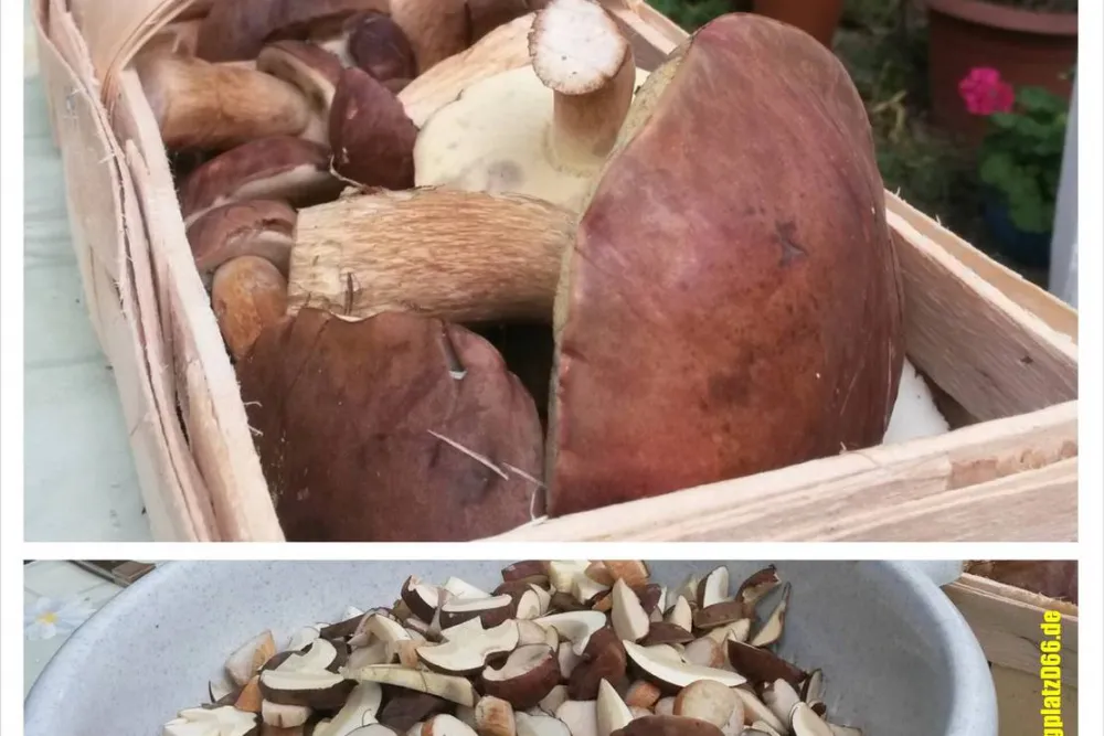 Campingplatz D66 - Am Schmöldesee bei Prieros