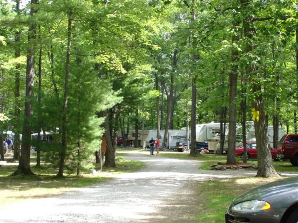Campers Paradise Campground & Cabins