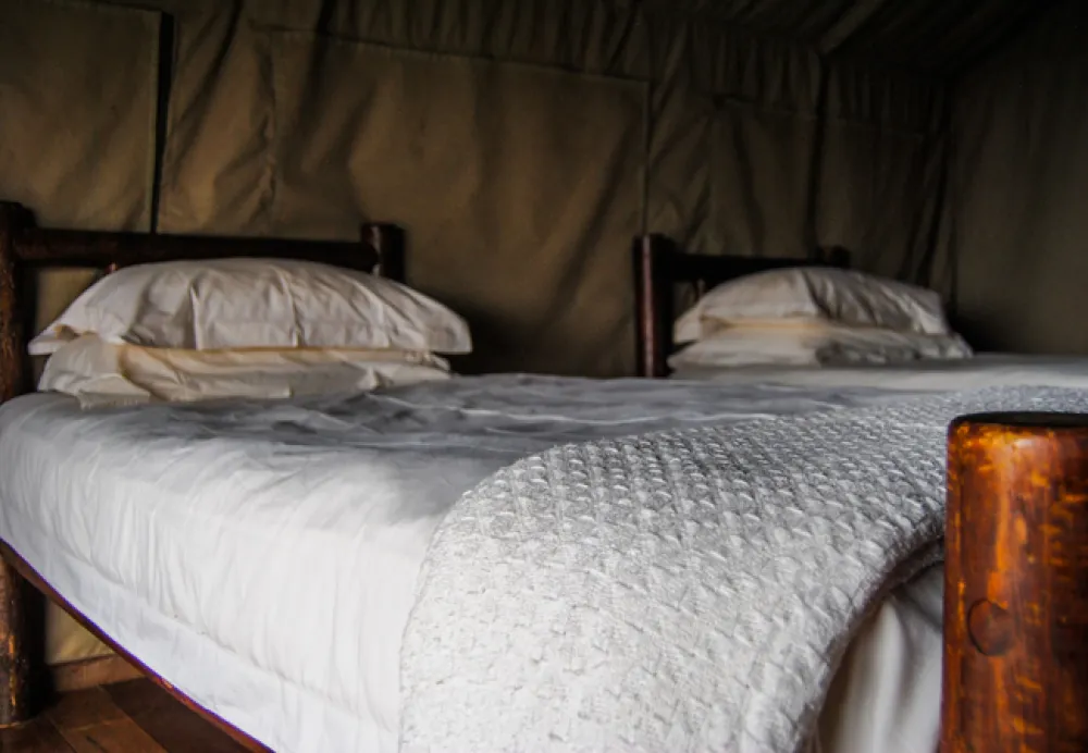 Baobab Tented Lodge