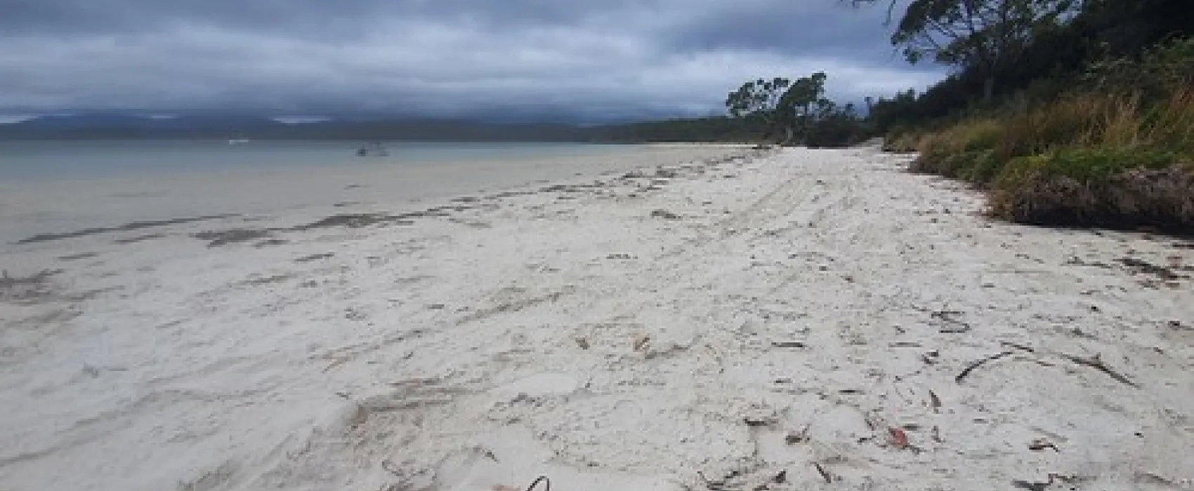 Jetty Beach Campground