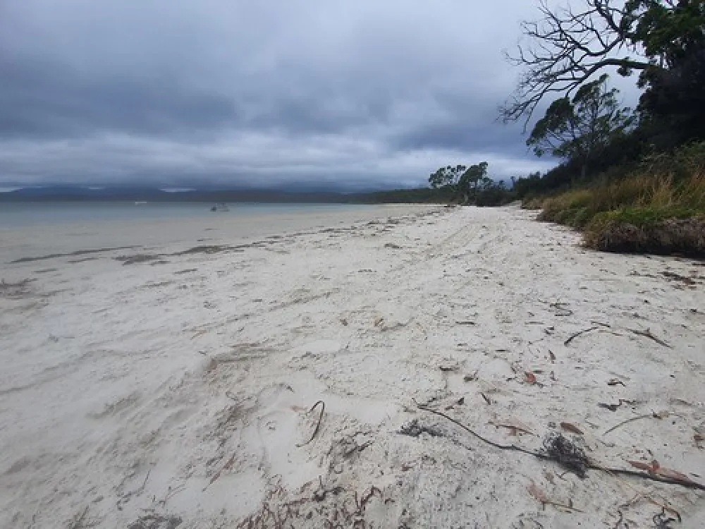Jetty Beach Campground