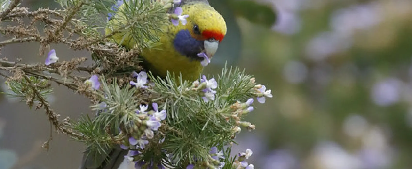 Jetty Beach Campground