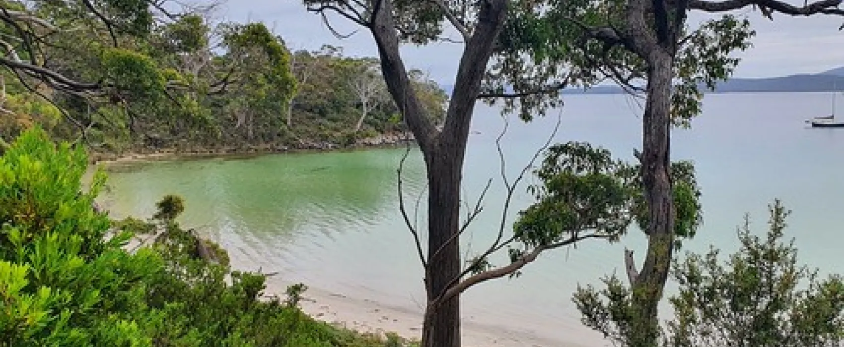 Jetty Beach Campground