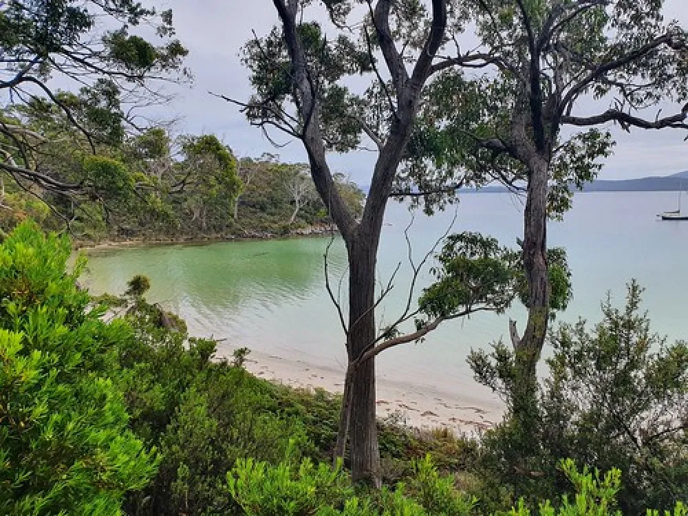 Jetty Beach Campground