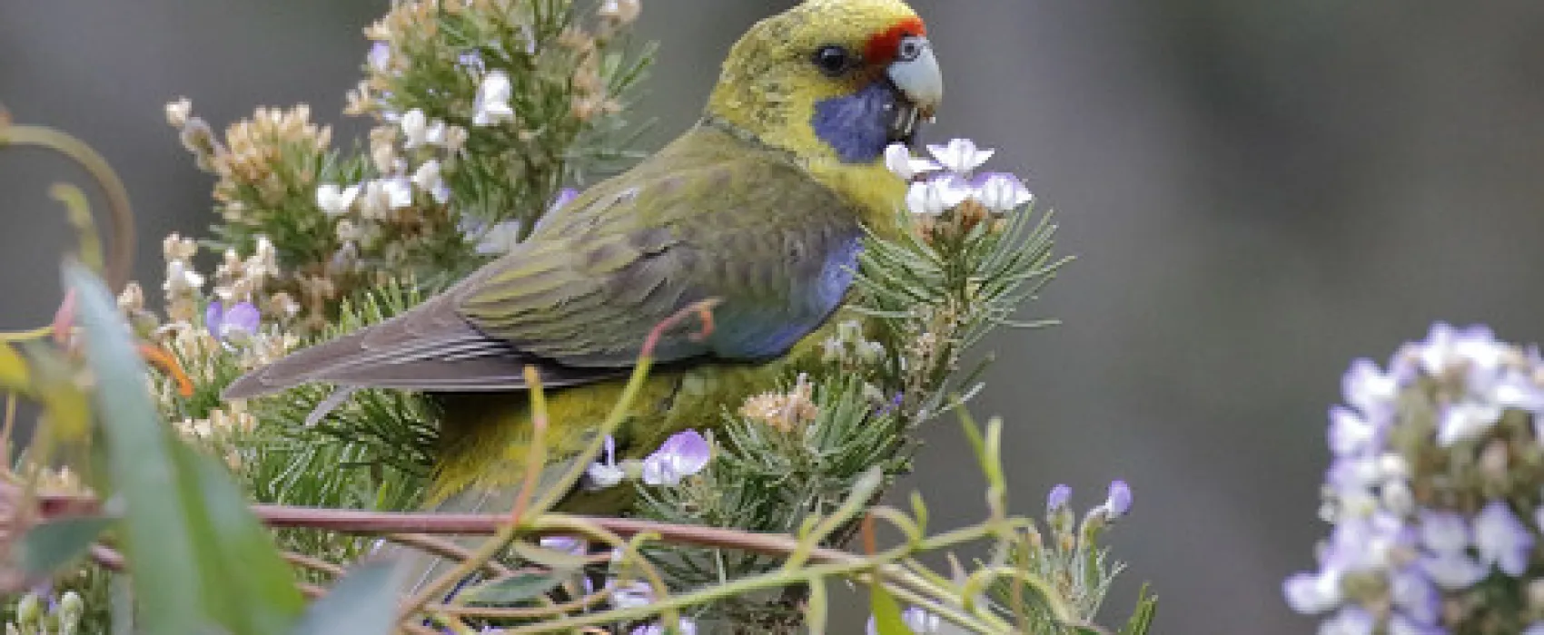 Jetty Beach Campground