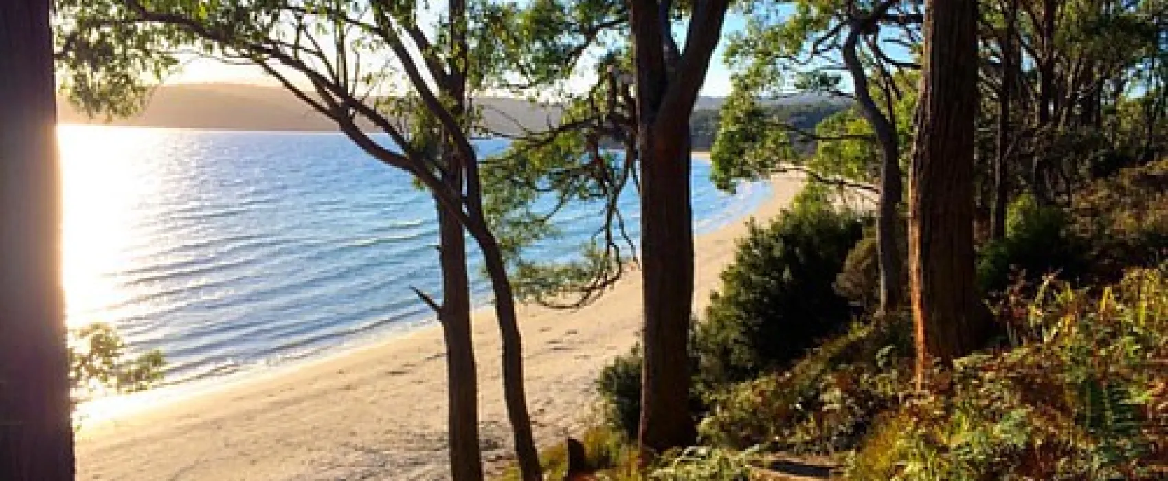 Jetty Beach Campground