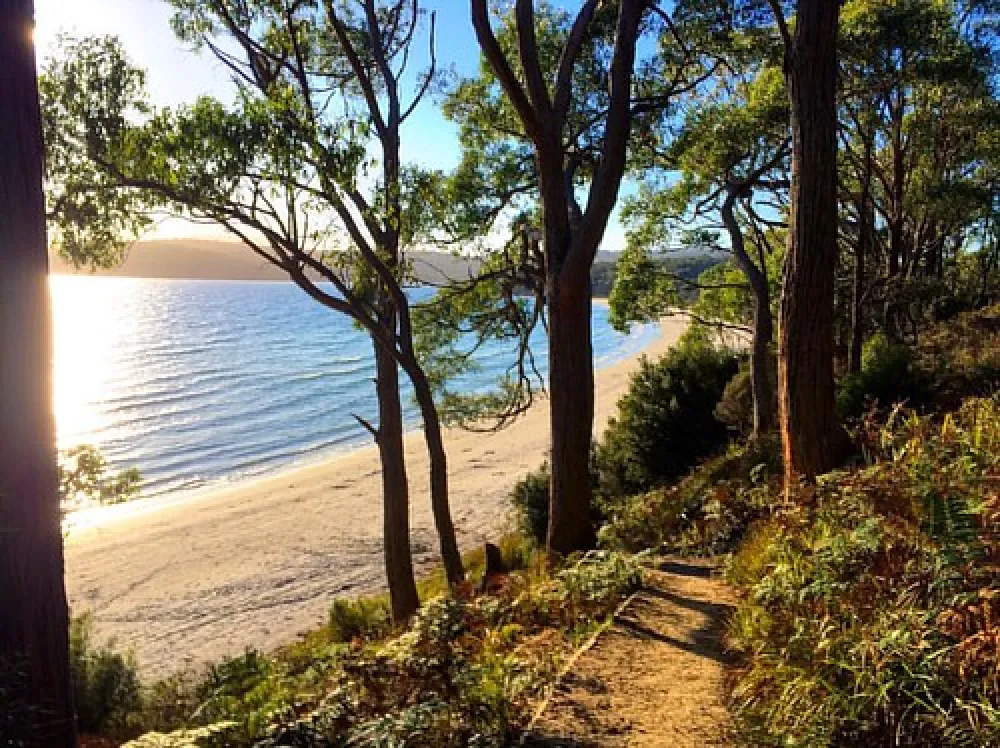 Jetty Beach Campground