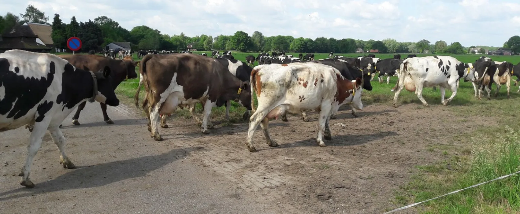 Kampeerhoeve Bussloo