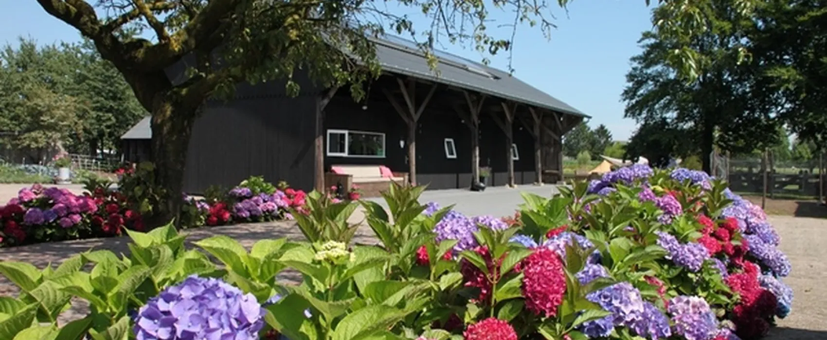 Kampeerhoeve Bussloo