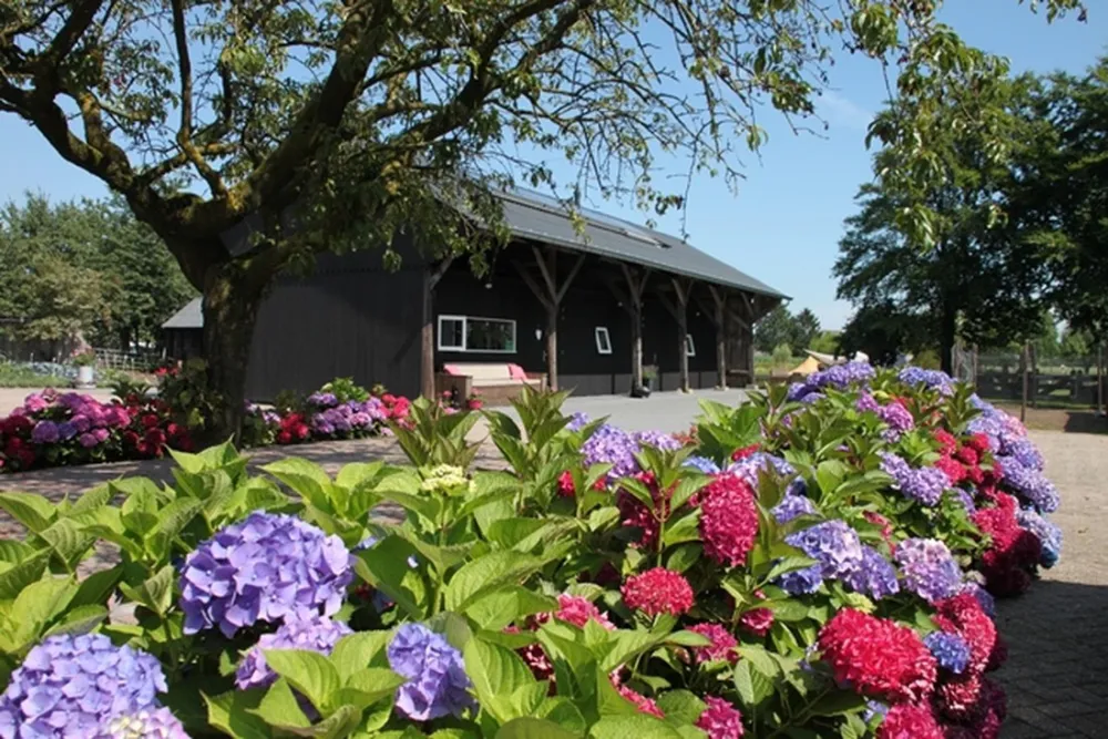 Kampeerhoeve Bussloo