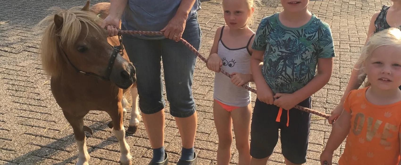 Kampeerhoeve Bussloo